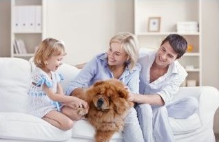 Farmington Hills Family